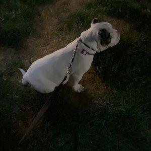 Meet your Posher, Carlos